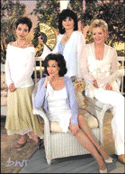 Delta Burke designing women