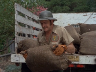 cap063