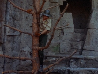 cap073