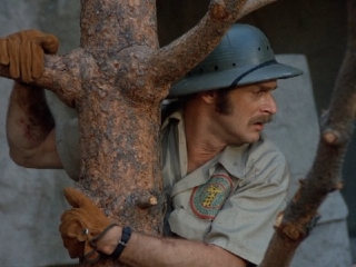 cap079