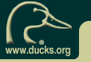 Ducks unlimited